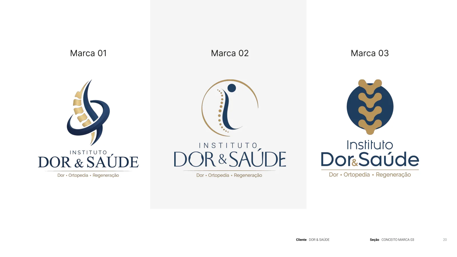Apresentação — Instituto Dor & Saúde